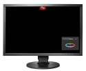 EIZO ColorEdge CG2420 - monitor ColorEdge LCD 24,1", kalibracja sprzętowa, zintegrowany kalibrator, AdobeRGB, 1920x1200 (czarny)