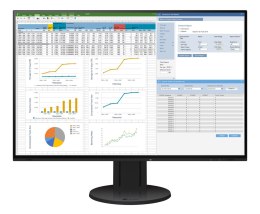 EIZO FlexScan EV2457-BK - monitor LCD IPS 24.1