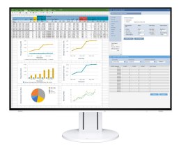 EIZO FlexScan EV2457-WT - monitor LCD IPS 24.1